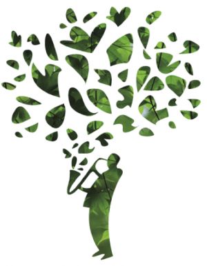 Convocatòria Música als Parcs 2012